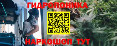 mdma Тверь