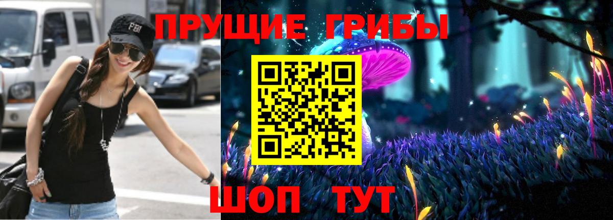 Ревда  Псилоцибиновые грибы прущие грибы  Вход с VPN 