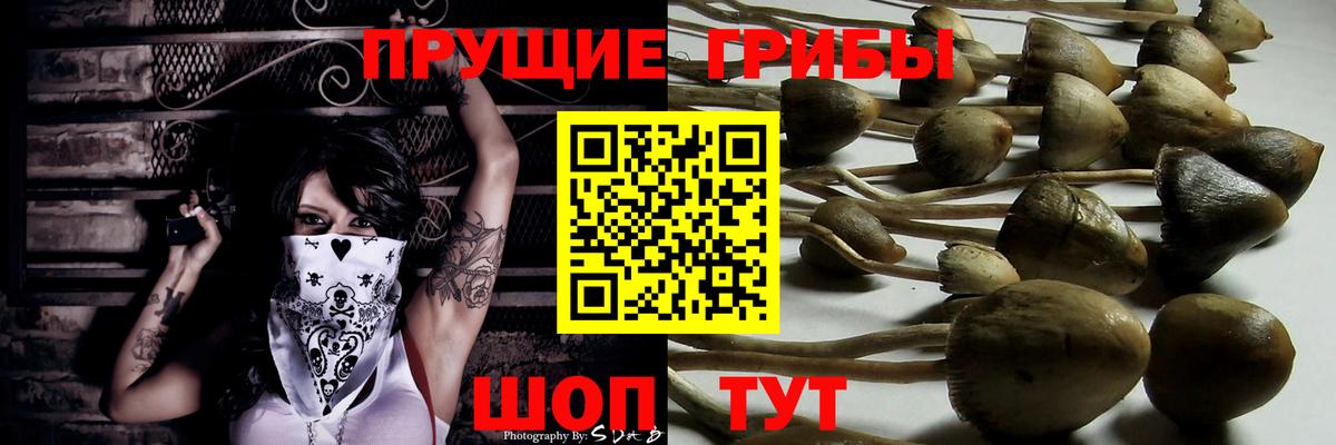 Псилоцибиновые грибы ЛСД Ревда